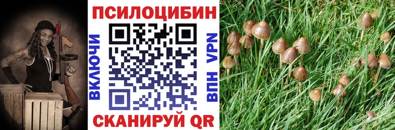 Галлюциногенные грибы ЛСД  купить закладку  Юрюзань 